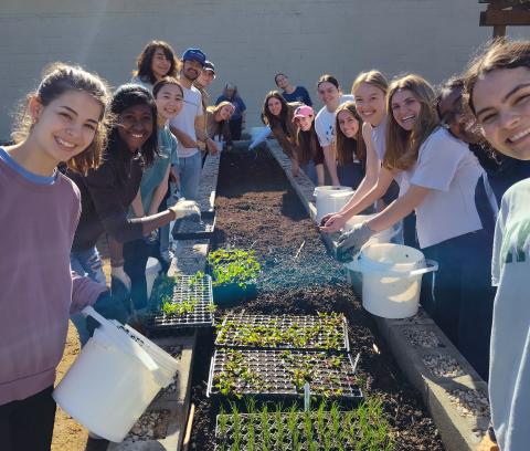 Photo of Baylor Students Working in Community Garden